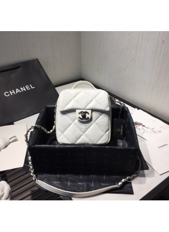 CHANEL CAMERA CASE 